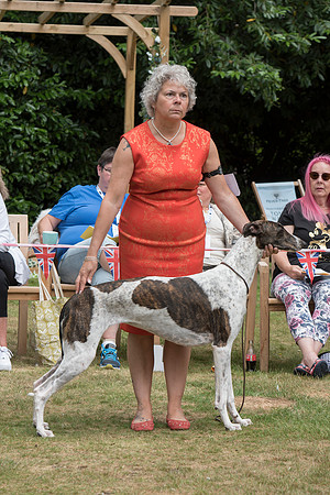 Southpoint Lady Loki at Highwick (Imp Prt)