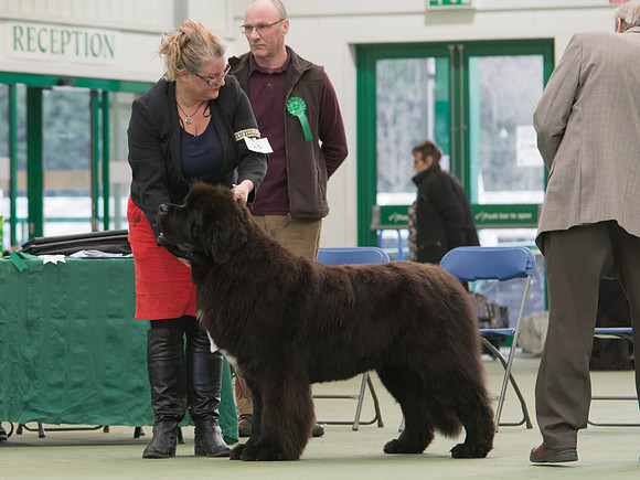 Tallisbay That's My Boy With Acaviste, JW ShCM