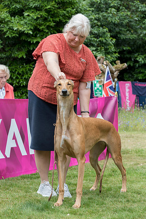 Sobers Geraldine