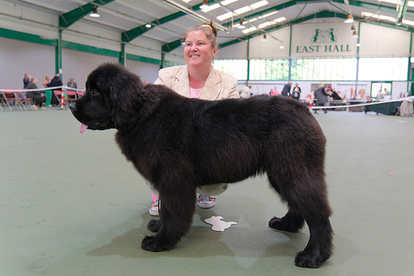 Wilbears It's A Corker