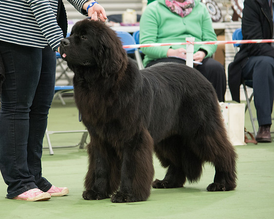 Zentaur I Will Wait