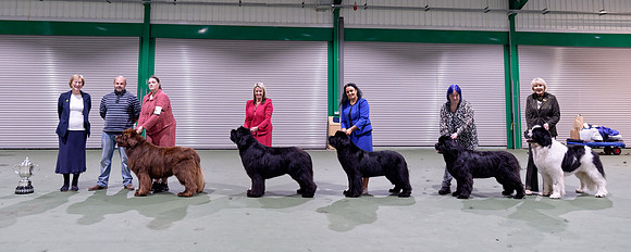 Winners line-up with judge Sue Benyon