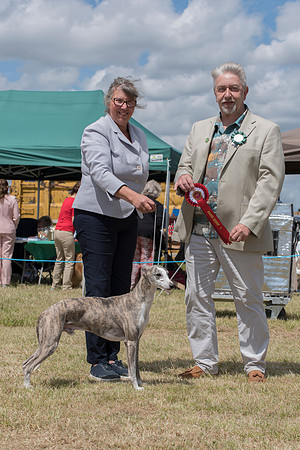 Shalfleet Making Waves