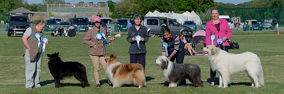 Pastoral Group Winners