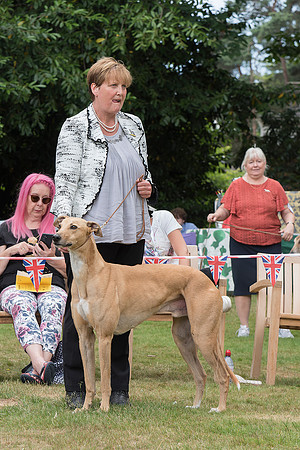 Wachovia Benjy