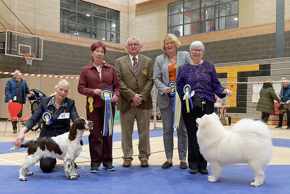 Best Puppy In Show and Reserve Best Puppy In Show