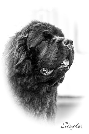 Newfangled Bone Idle