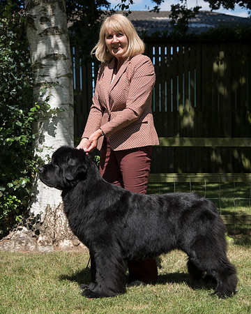 Ch. Merrybear Euphoria at Millthorpe, JW ShCM