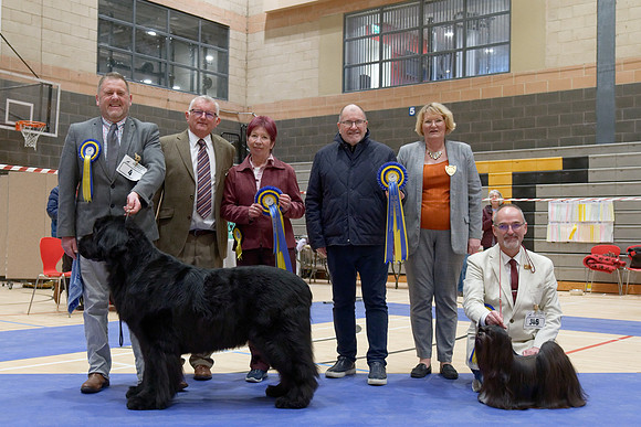 Best In Show and Reserve Best In Show
