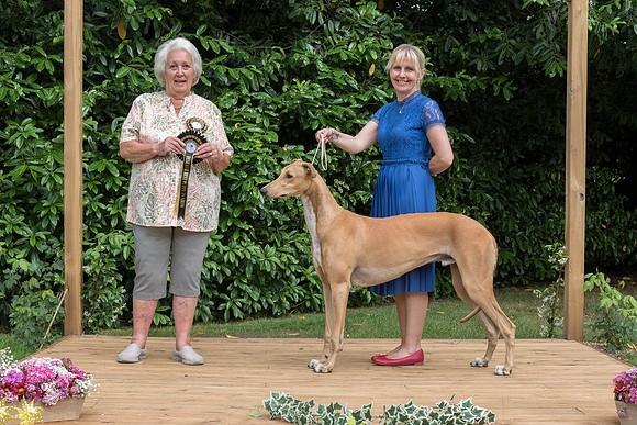 Reserve Best Puppy In Show - Ina's Fashion Flair at Incitatus (Imp Deu)