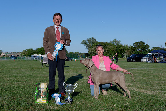 Best In Show - Sh. Ch. Gunalt Lustrous With Roydack, ShCEx